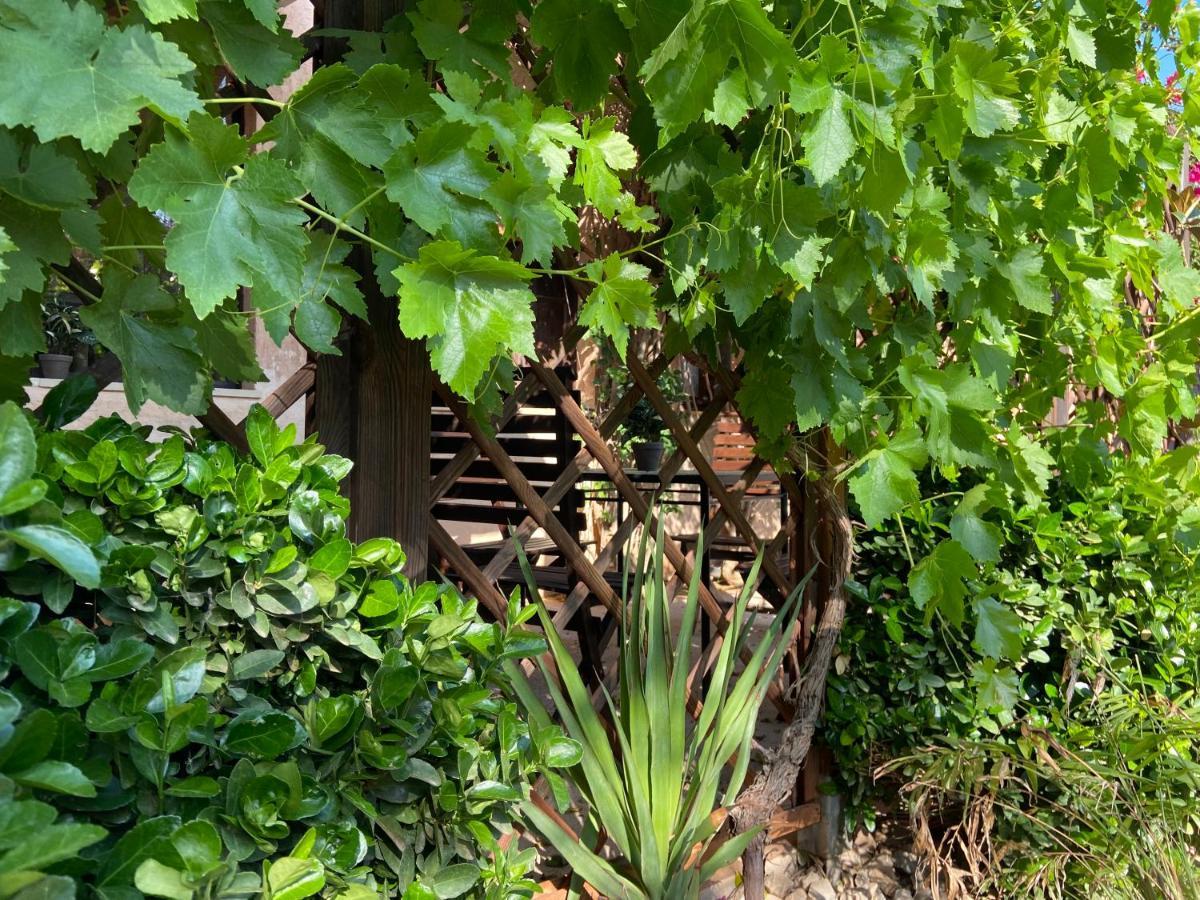 Sa Canova Farm stay