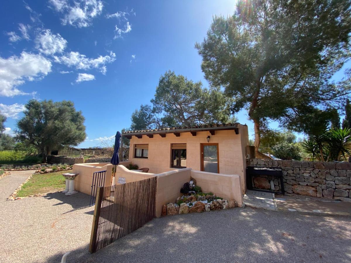Sa Canova Farm stay *