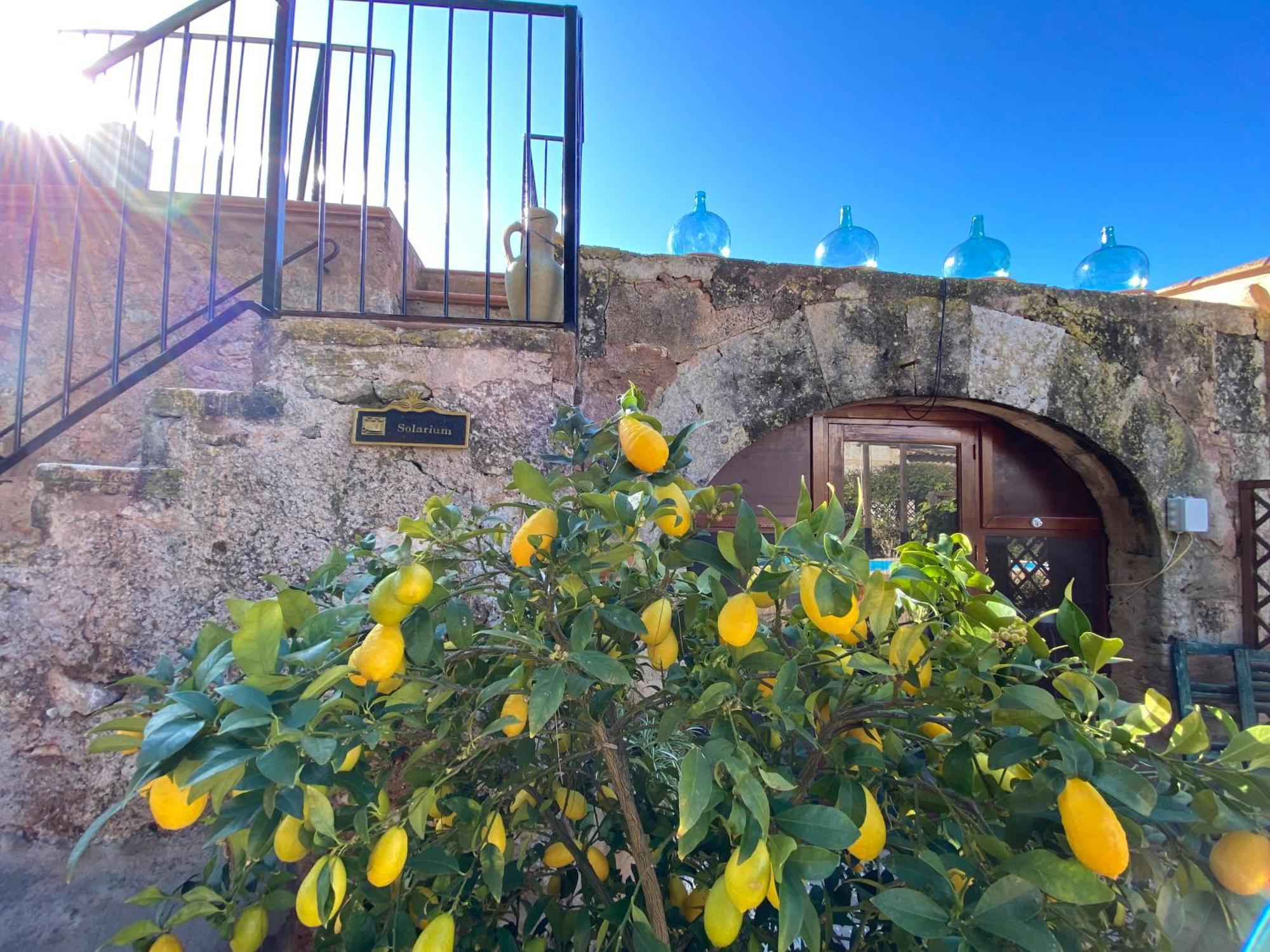 Sa Canova Farm stay Campos (Mallorca)