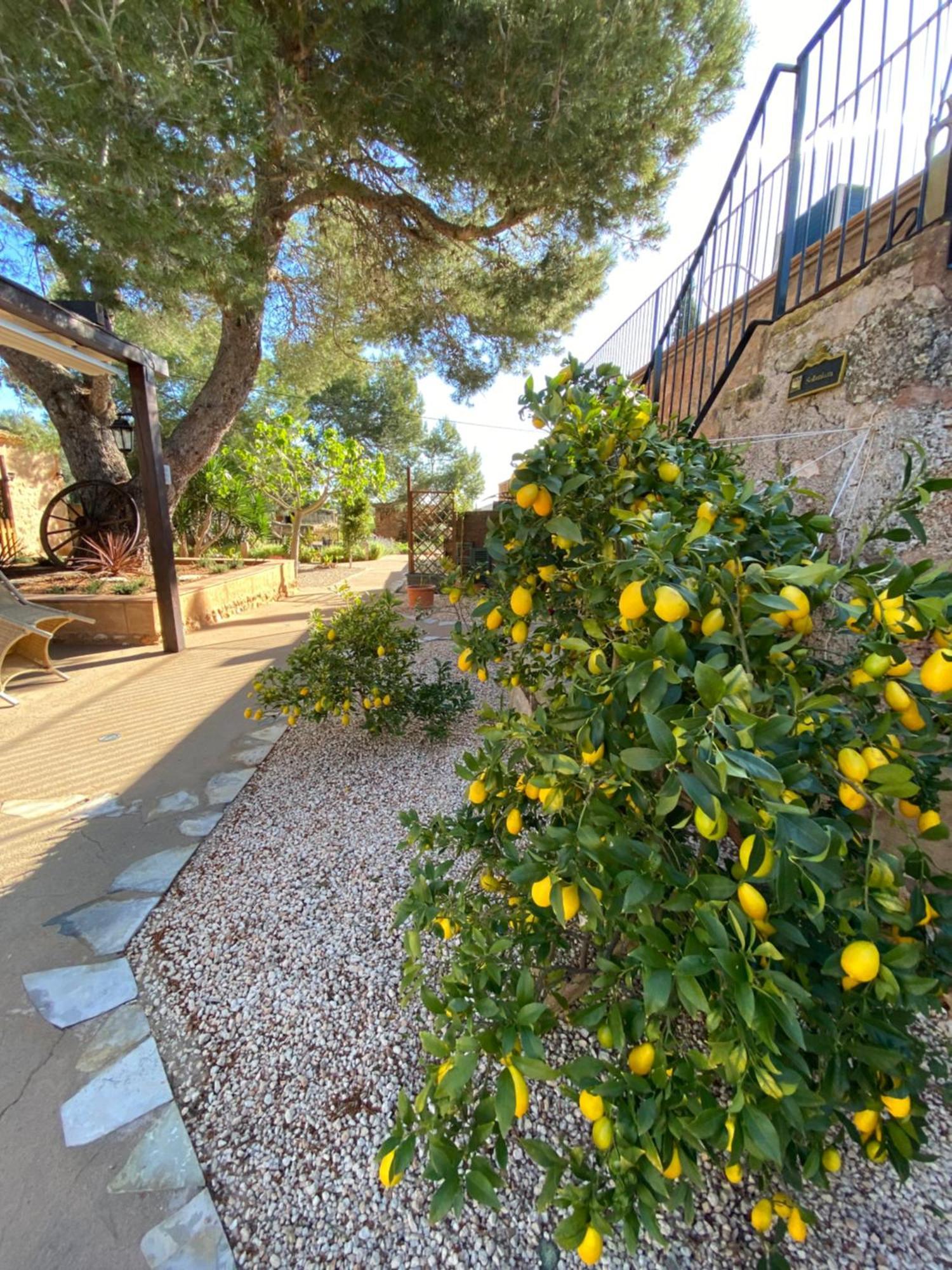 Agroturismo Sa Canova
